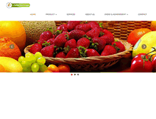 Tablet Screenshot of ezzyint.com